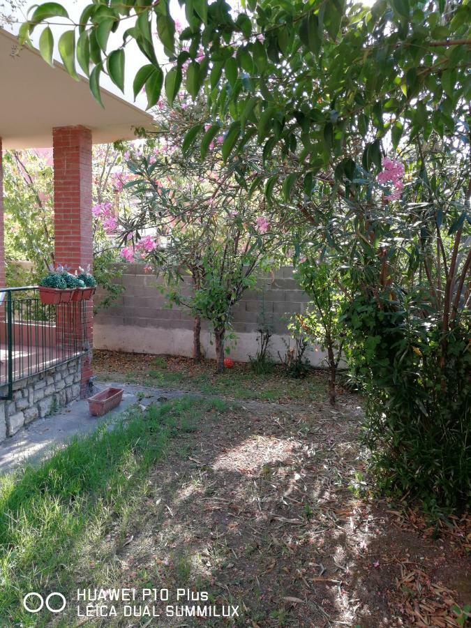Villa Galilei Rooms Pisa Exterior foto